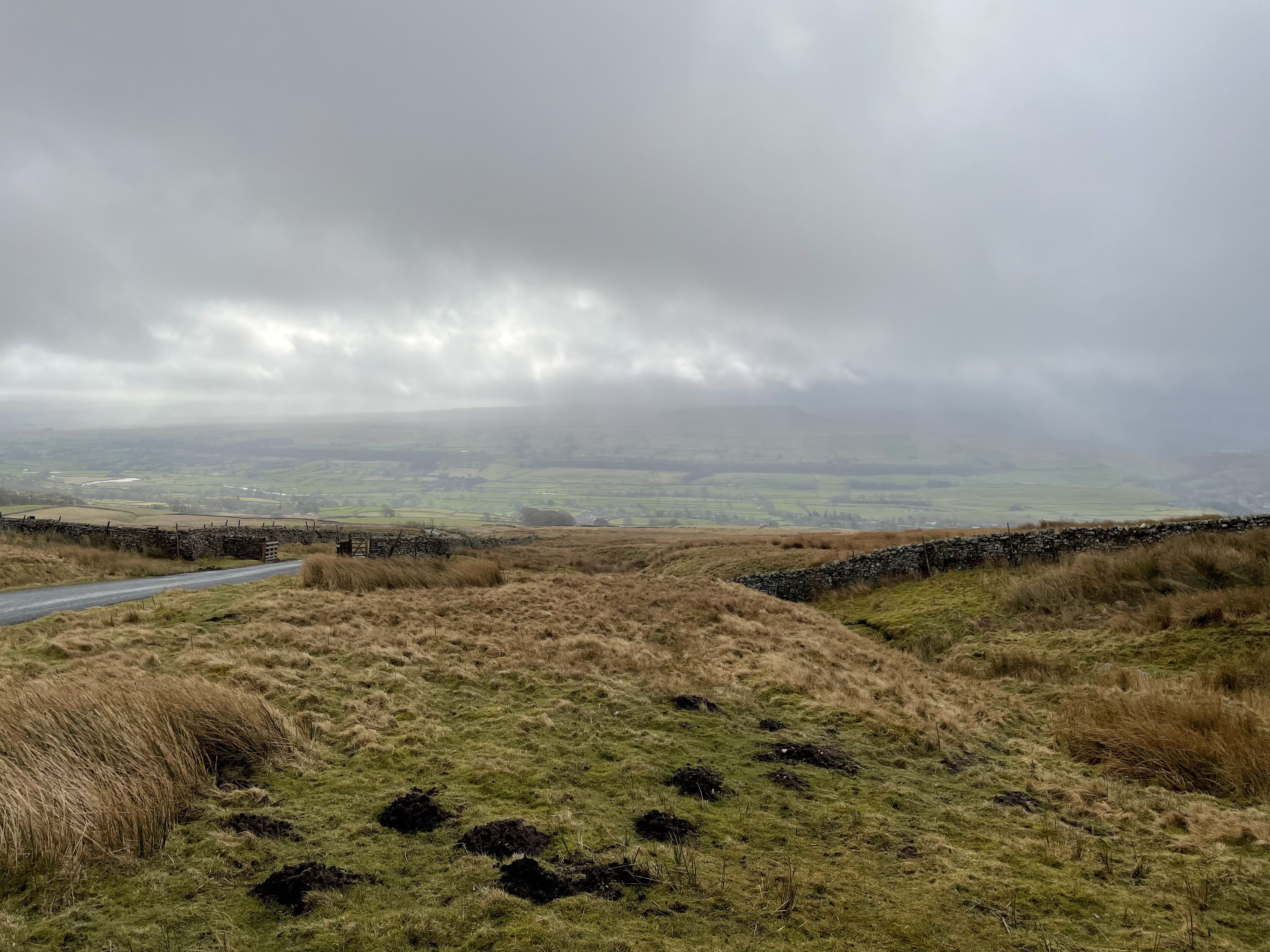 Wensleydale views